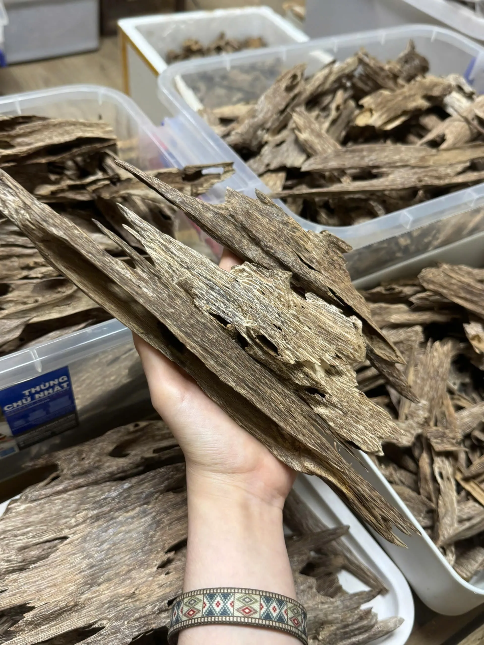 Premium Ant Oud – Natural Vietnamese Agarwood Chips (High Oil Kien Wood)